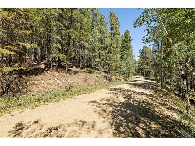 0 Spruce Way, Nederland, CO 80466