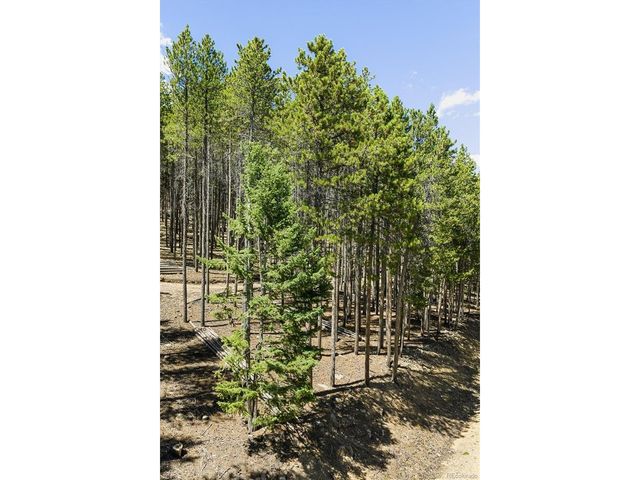 0 Spruce Way, Nederland, CO 80466