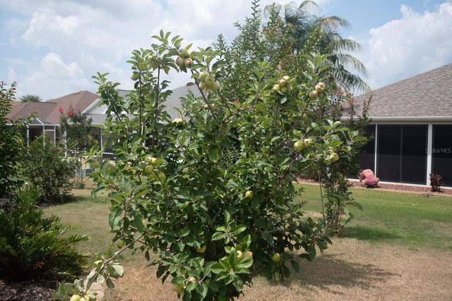 2633 ENGLISH IVY CIRCLE, The Villages, FL 32162