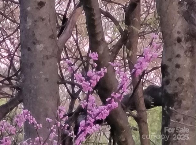 3333 Roberta Road, Concord, NC 28027