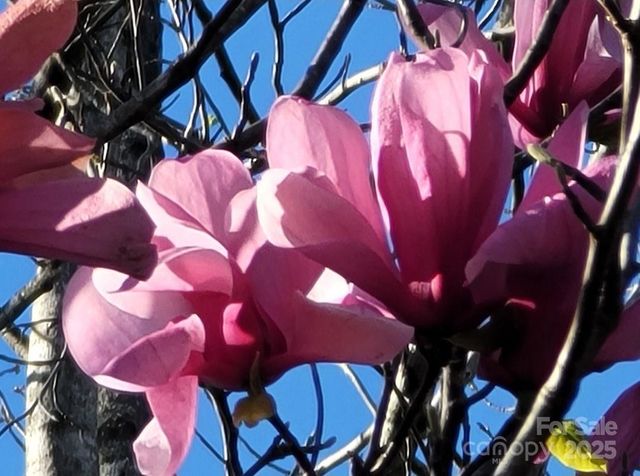 3333 Roberta Road, Concord, NC 28027