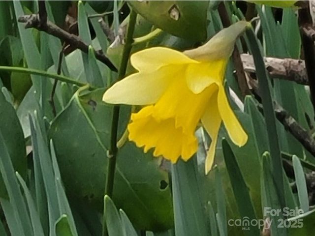 3333 Roberta Road, Concord, NC 28027