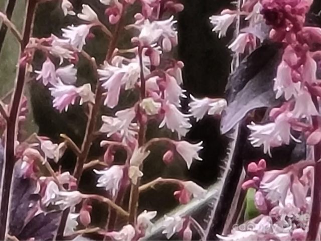 3333 Roberta Road, Concord, NC 28027