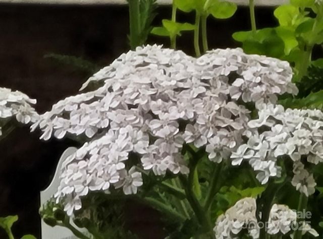 3333 Roberta Road, Concord, NC 28027