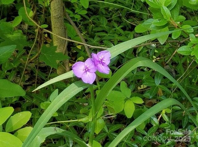 3333 Roberta Road, Concord, NC 28027