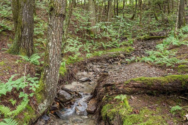 39 Hilltop Lane lot 2, Morristown, VT 05661