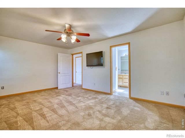 1384 Saginaw Pointe Drive, Windsor, CO 80550