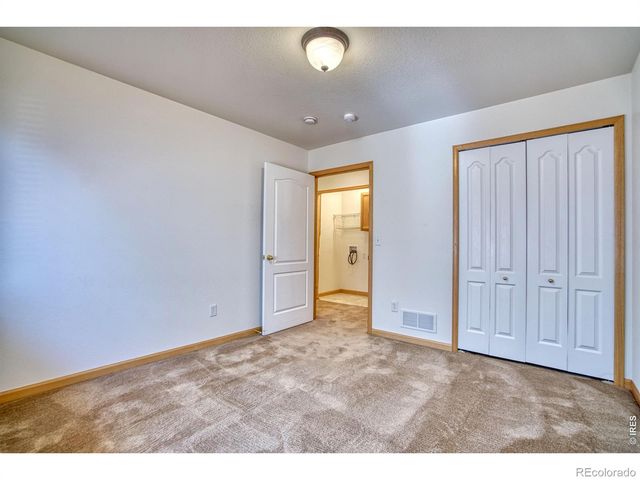 1384 Saginaw Pointe Drive, Windsor, CO 80550