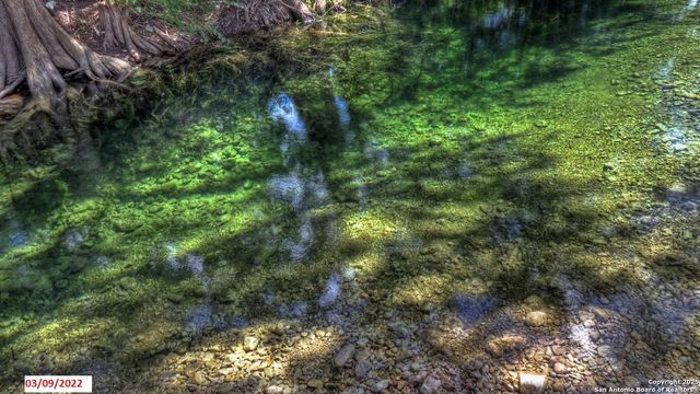 90 Johnny Seibert Ln, Leakey, TX 78873