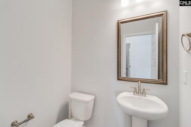 345 Rising Stream Way, Chapin, SC 29036