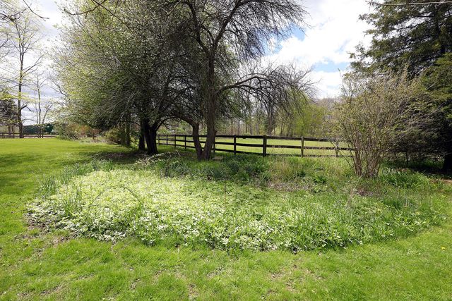 818 S Freer Road, Chelsea, MI 48118