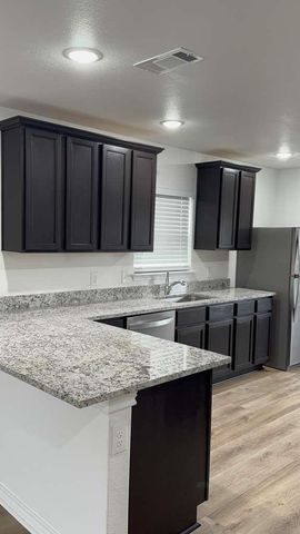 14205 Prairie Sod LN, Elgin, TX 78621