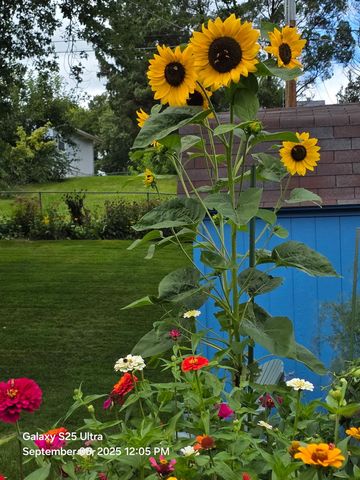 8114 9th Street W, Rock Island, IL 61201