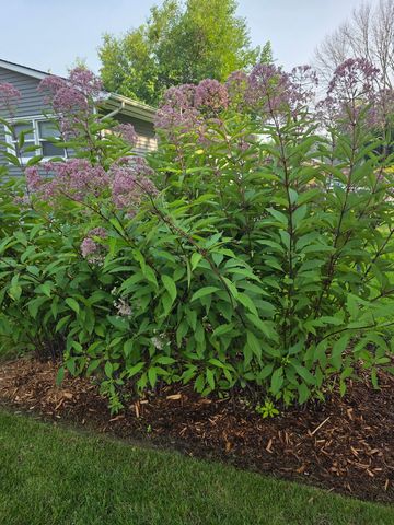 8114 9th Street W, Rock Island, IL 61201