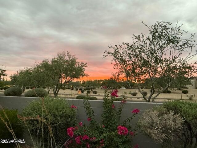 15876 W Alpine Ridge Drive, Surprise, AZ 85374
