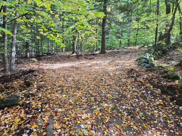 Lot 13 Beach Pond Road, Wolfeboro, NH 03894
