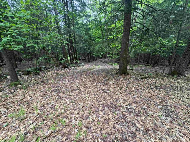Lot 13 Beach Pond Road, Wolfeboro, NH 03894