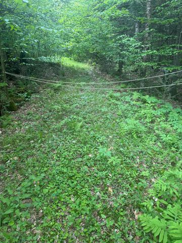 Lot 13 Beach Pond Road, Wolfeboro, NH 03894