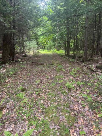 Lot 13 Beach Pond Road, Wolfeboro, NH 03894