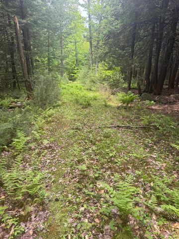 Lot 13 Beach Pond Road, Wolfeboro, NH 03894