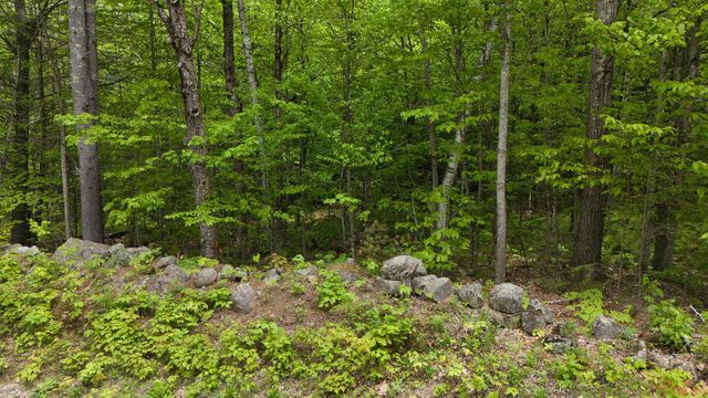 Lot 13 Beach Pond Road, Wolfeboro, NH 03894