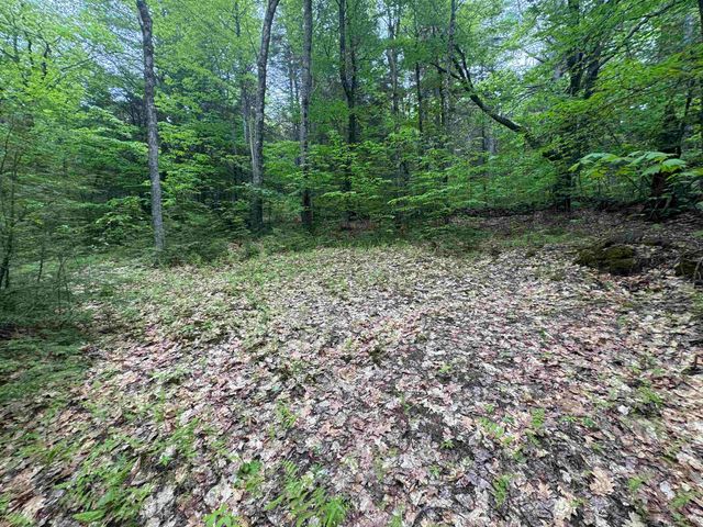 Lot 13 Beach Pond Road, Wolfeboro, NH 03894