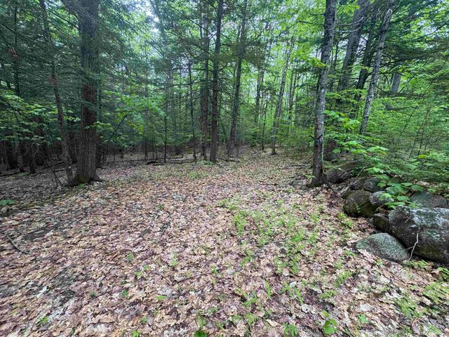 Lot 13 Beach Pond Road, Wolfeboro, NH 03894