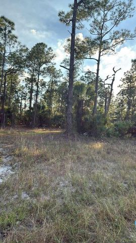 918 BELMONT STREET E, Lehigh Acres, FL 33974