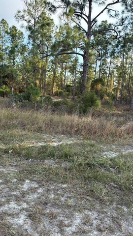 918 BELMONT STREET E, Lehigh Acres, FL 33974