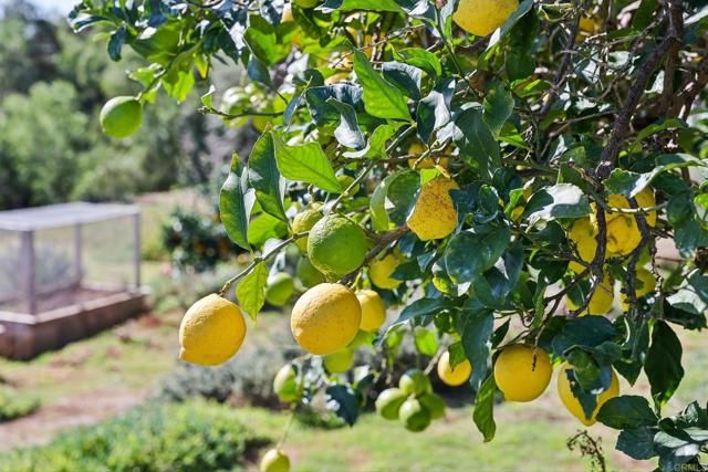 1761 Winterwarm Drive, Fallbrook, CA 92028