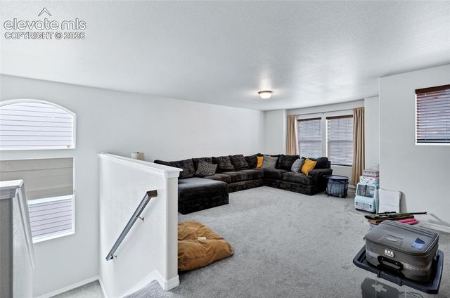 9003 Yellowtail Way, Colorado Springs, CO 80908