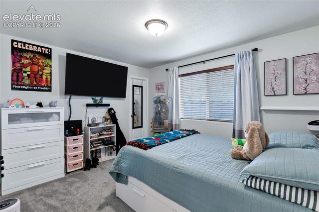 9003 Yellowtail Way, Colorado Springs, CO 80908