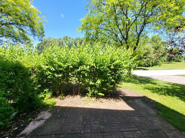341 Wisteria Drive 341, Streamwood, IL 60107