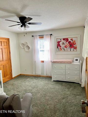 186 Perkins Tr, Deer Lodge, TN 37726