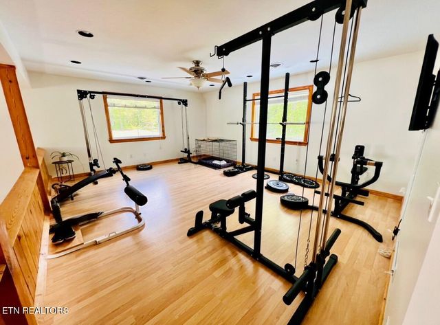 186 Perkins Tr, Deer Lodge, TN 37726