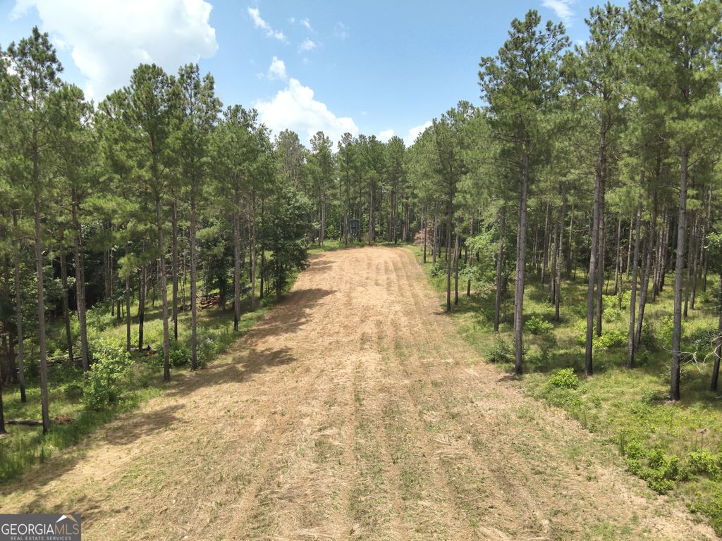 360 Happy Hollow Road, Comer, GA 30629 — photo 2