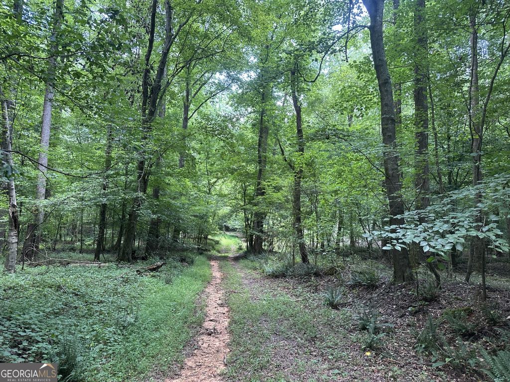 360 Happy Hollow Road, Comer, GA 30629 — photo 3