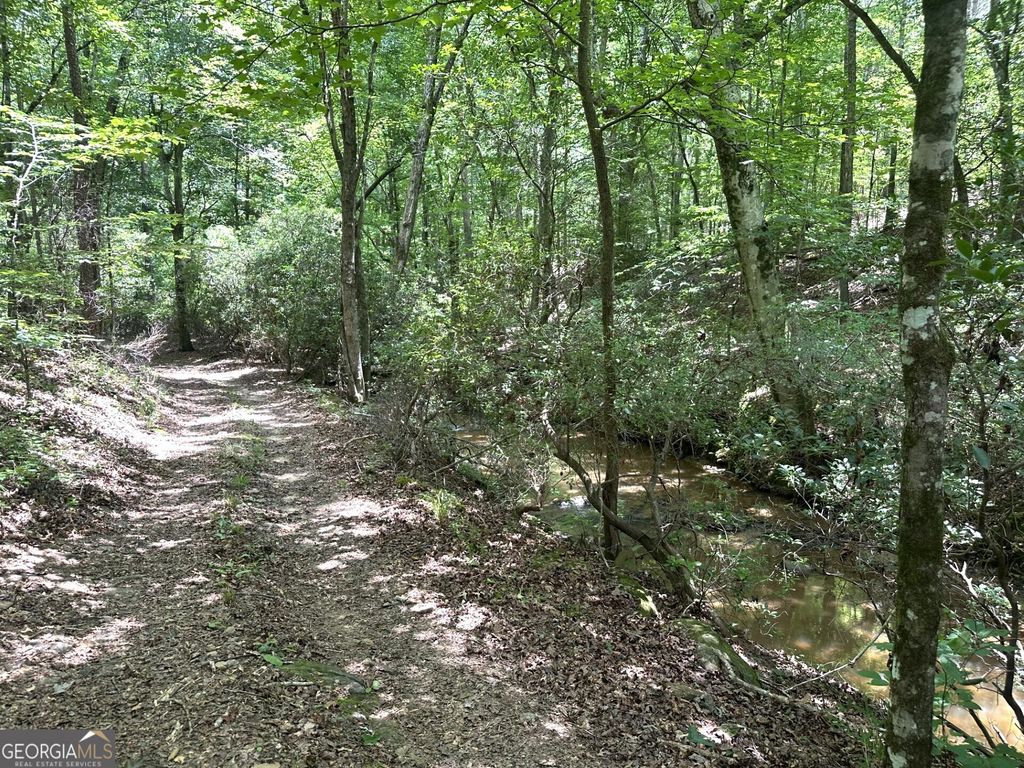 360 Happy Hollow Road, Comer, GA 30629 — photo 5