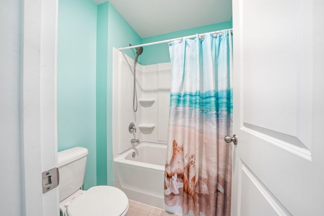1067 Sago Palm Court, Mount Pleasant, SC 29429