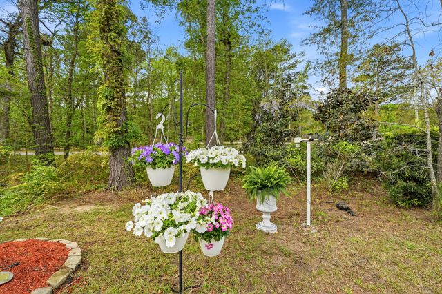 1067 Sago Palm Court, Mount Pleasant, SC 29429