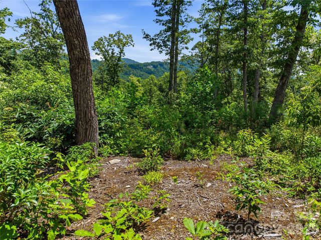 58 Mountain Grove Lane, Fletcher, NC 28732