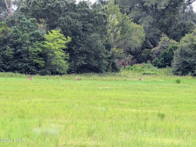 5310 Chestnut Lane, Greenwood, FL 32443