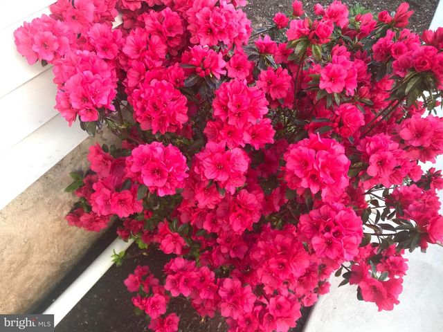 516 W 3RD ST, Birdsboro, PA 19508