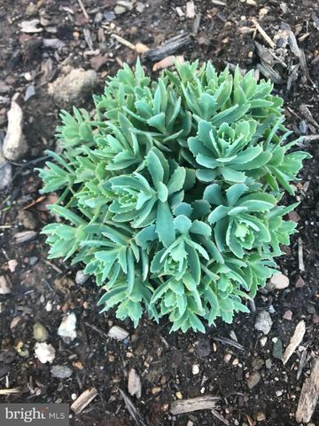 516 W 3RD ST, Birdsboro, PA 19508