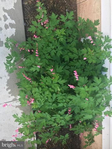 516 W 3RD ST, Birdsboro, PA 19508