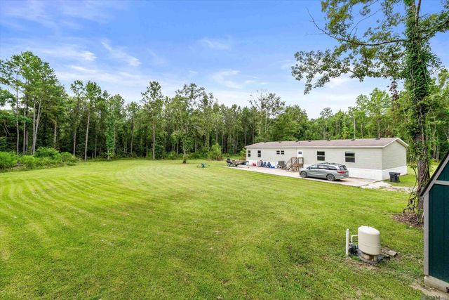 19646 King George, Livingston, LA 70754