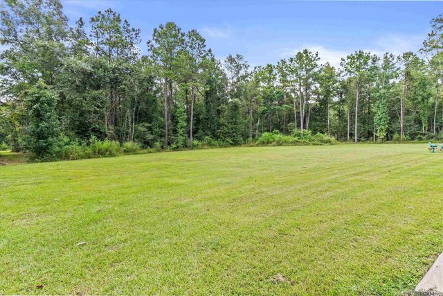 19646 King George, Livingston, LA 70754