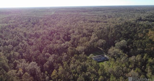 19646 King George, Livingston, LA 70754