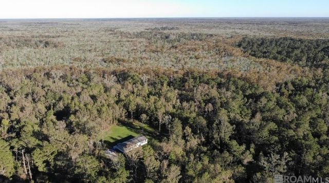 19646 King George, Livingston, LA 70754