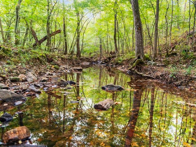 217 Wildflower Court, Hot Springs, AR 71909